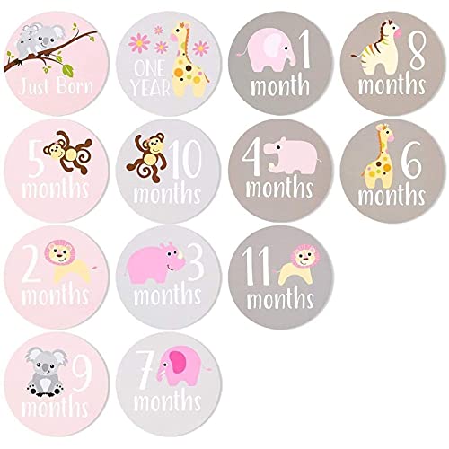 Best Paper Greetings Milestones Of Baby's First Year Stickers For Girls Scrapbook (24-Count) #TOP4