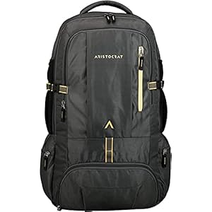 Aristocrat 45 Ltrs Grey Rucksack (RUCHIKEGRY)