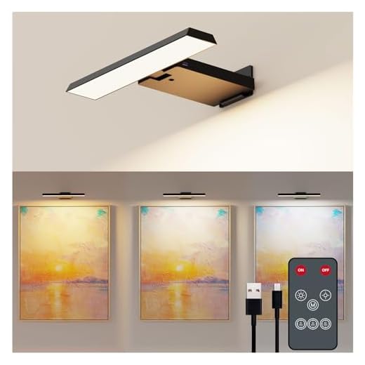 Deyagoo Bilderleuchte Kabellos, LED Wandleuchte Innen mit Fernbedienung, 6000mAh Akku Bildbeleuchtung mit Timer, Dart Beleuchtung, 3 Farbmodi Dimmbare Wandlampe für Malen Foto Art, Schwarz