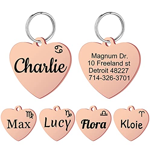 xuanbeauty Edelstahl Haustier ID Tags Cover