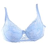 Daxin Women Bra, Sexy Underwire Bra Push Up Lace Sheer 32 34 36 38 40B (Light Blue, 90/40B)