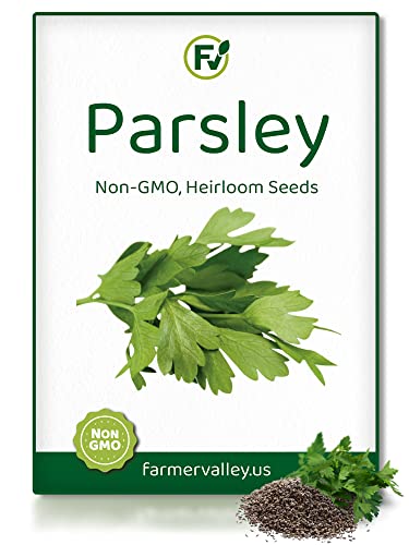 Parsley Seeds For Planting Home Garden Herbs - Non-Gmo, Non-Hybrid, Untreated, And Usa Grown Variety - Individual Pack Of 550+ Heirloom Seeds, Suitable For Outdoors, Indoors, And Hydroponics #TOP19