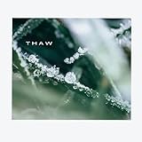 the thaw traduction  Thaw