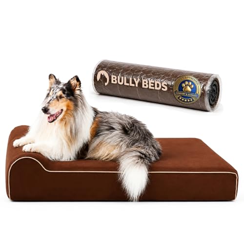 Bully Beds Orthopedic