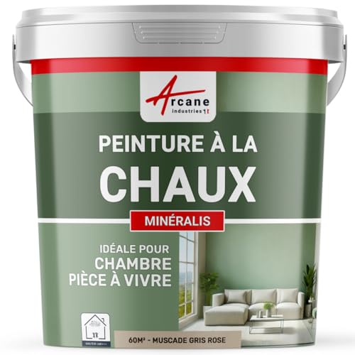 Peinture chaux naturelle : peinture, sans émanation, mineralis - 60 m² (2x5 kg en 1 couche) Muscade Gris Rose - ARCANE INDUSTRIES
