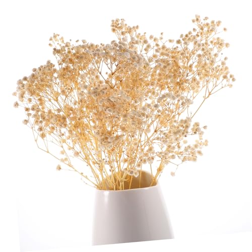 Arreglo de Ramo de Flores Secas Gypsophila Blanco miniatura 5