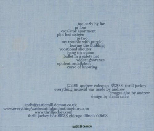 Vista 2 de Everything Was Beautiful & Nothing Hurt