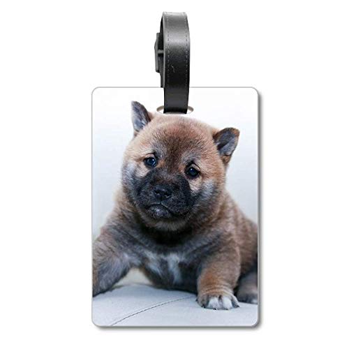 Étiquette d'identification pour valise Pippy avec motif chien pour bagage