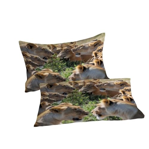 Parure housse de couette lion 3D de qualité supérieure pour lit double - 7