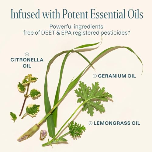 cliganic mosquito repellent bracelet stickers pack for kids amp adults multi color natural deet-free essential oil infused 20 bands with 30 patches citronella scent 50