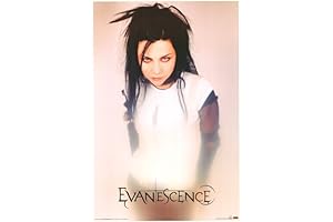 Paramore Poster: A Canvas of Musical Memories