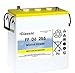 Produktbild Exide Classic FF 06 255 Antriebsbatterie 6 Volt 255 Ah (5h) drivemobil Traktionsbatterie