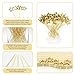 Gold Star Cocktail Picks, 5.5 Inch Long Decorative Toothpicks Skewers for Appetizers, Fruits and Drink Garnish, Christmas & New Year Holiday Events Party Supplies