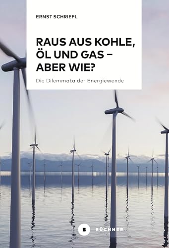 Raus aus Kohle, Öl und Gas – aber wie?: Die...