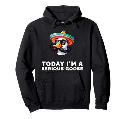 Today I�fm A Serious Goose Funny Meme Bird Humor Sarcasm �p�[�J�[