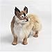 Modèle animal simulé - Fox Toy Fabed Toy - Peluche en peluche réaliste Modèle Fox Model Poupée - Fox Lifelike Fox Fournisseur de Fox - Pour la voiture Décoration de la maison Enfants Cadeau Enseignant