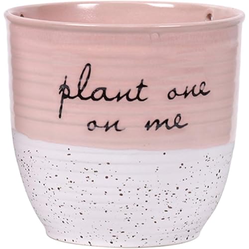 Blue Sky Ceramic Hanging Patricia 5" Flower Pot
