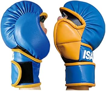 Amazon.co.jp: isami Isami IS-756 Pound Gloves Martial Arts Karate