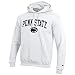 Elite Fan Shop Penn State Nittany Lions Hooded Sweatshirt Varsity White - XL