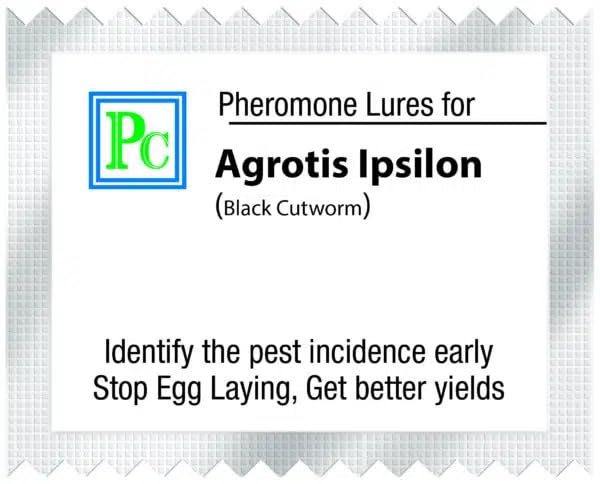 Replacement Lures for Agrotis ipsilon (Black Cutworm) - 10Pack Recommended for Cotton, Rice, Sorghum, Strawberry, sugarbeet, Tobacco, Corn and Sometimes Grains and Grasses-image-10
