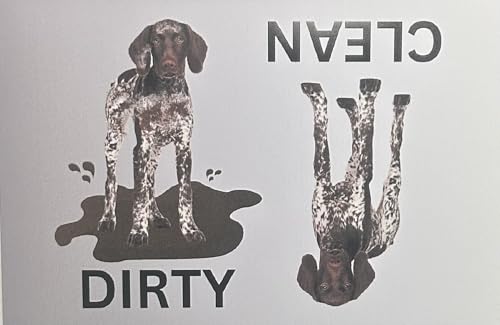 Magnetizing Designs German Shorthaired Pointer Clean Dirty