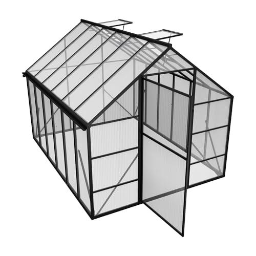 PEILU Gewächshaus Aluminium Treibhaus mit Transparent PC Platten Dachfenster & Tür & Fundament 310x250x205cm Winterfest Gartengewächshäuser Begehbares Pflanzenhaus für Garten Outdoor
