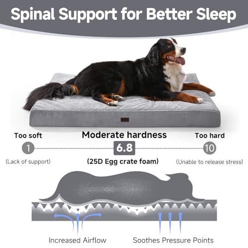 OhGeni Orthopedic Waterproof & Machine Washable Dog Bed for Extra Large Pets, Wider & Larger Size, 25D Egg Crate Foam, Non-Slip Bottom & Removable Cover, Invisible Zipper, 54 Inches(Gray)
