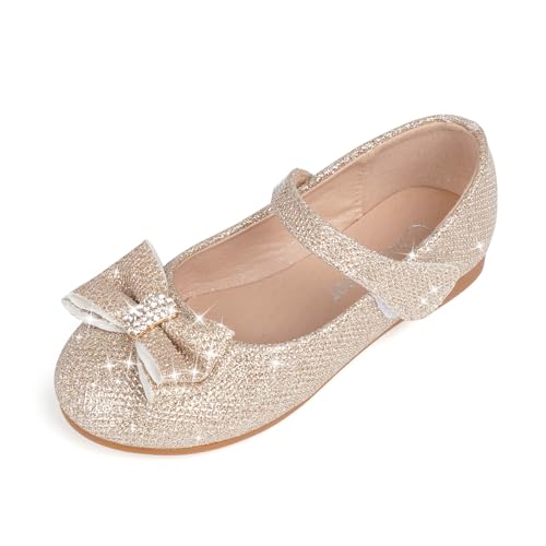 Toddler Girls Flats Mary Jane Shoes Flower Girl Dress Shoes School Wedding Party Ballet Flats for Little Kids