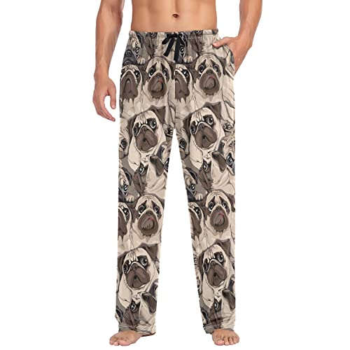 10 Best Pj Pugs By An Expert Glory Cycles