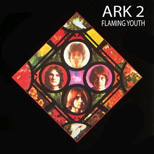 ARK 2: Amazon.com.br: CD e Vinil