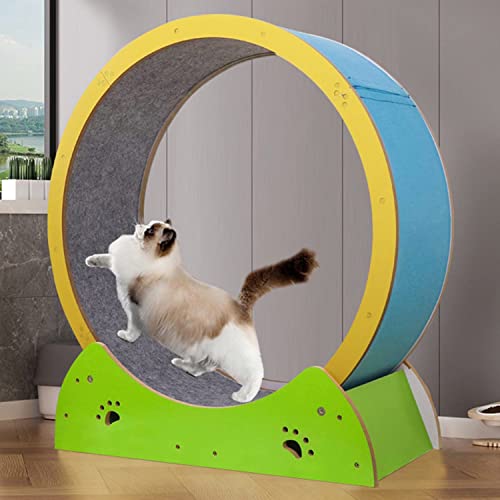 Roue d'exercice pour chat contre l'ennui et le surpoids du félin - 2