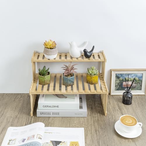 Consejos y comparativas para Comprar Plantas bambú gigante Top cinco. 26 Imagen adicional