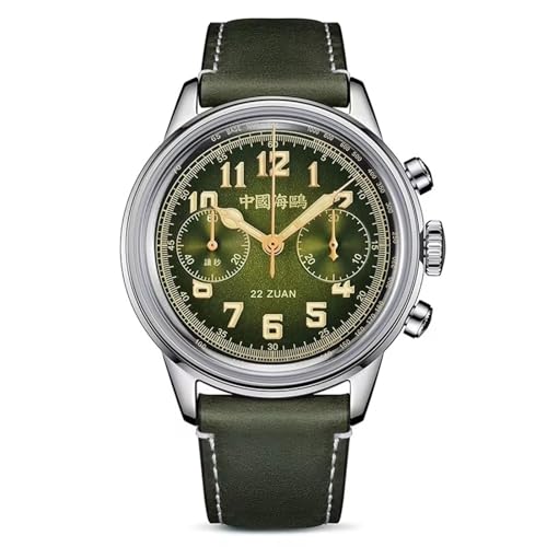 SEA-GULL �����Y�@�B���r���v�A���������r���v�ASeagull ST1901�A1963�A�W���[�j�[�V���[�Y�A�p�C���b�g�N���m�O���t�A����A2023, �O���[��, �X�g���b�v