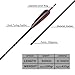 BOWSOUL 30inch Hunting Carbon Archery Arrows with 5