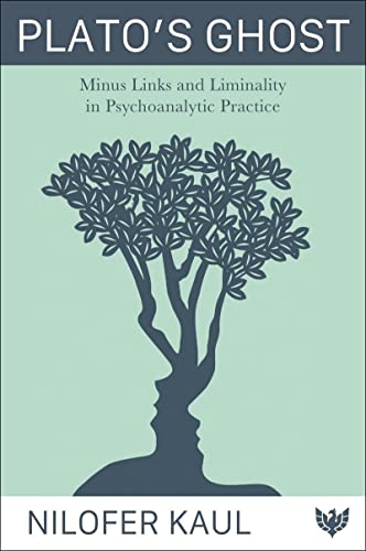 Platos Ghost: Liminality and Psychoanalysis view 2