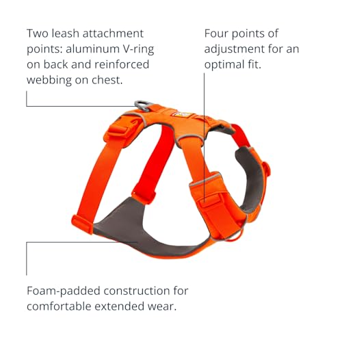 Ruffwear Front Range Hundegeschirr, reflektierendes Y-Geschirr, verstellbares, bequem gepolstertes Alltagsgeschirr für Spaziergänge und Hunderennen, 2 Leinenbefestigungen und V-Ring, Blaze Orange M