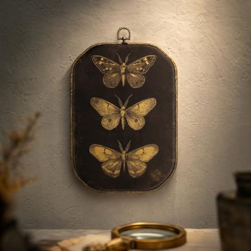 Bekecidi Vintage Three Butterfly Wall Art Framed, Octagon Canvas Hanging, Dark Academia & Cottagecore Decor, 10.2 x 7.1 Inch - 4