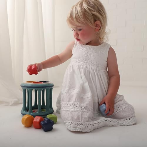 Image of Tolo Rolling Shape Sorter Interactive Toy for Baby 12M+ | 6 Colorful Shape | sorting toys, color & pattern recognition, rattle sound, baby toys, fine motor, STEM, early development, gift for infants