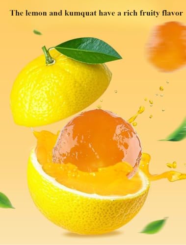 Loquat Kumquat,Lemon Kumquat,Preserved Fruit, Healthy Nutritious Snacks,Dried Fruits,Sweet Leisure Food, Delicious Chinese Snack Gifts (2 flavors,4bags)