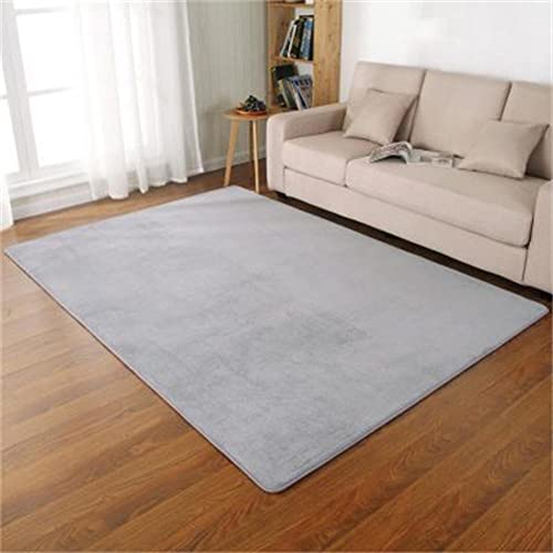 Tapis de salon moderne gris argent 150 cm super doux LUNEZY