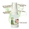 Stink Spray, Highly Concentrated Liquid Ass Fart Prank Gag Gift Spray 30ml