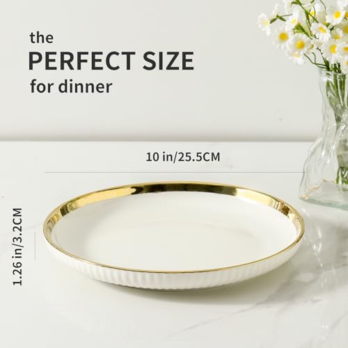 Recopilación de De platos de loza comprados en linea. 11 Imagen adicional