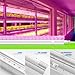 Monios-L LED Grow Lights for Seedlings,Growing Strips for Indoor Plants, 2FT 60W(6 x 10W) T5 Clone Light Bars,Extendable 24 Inches Plant Shelf Lighting for Greenhouse, Easy Installation [6-Pack]