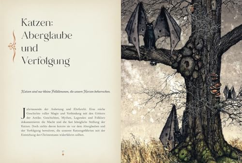 Katzenmagie: Entdecken Sie die magische Kraft der Katzen: Katzenmagie. Entdecken Sie die magische Kraft der Katzen. Spannendes zu Mythen, Legenden und ... Raubkatzen. Mit Ritualen, Fantasiereisen uvm.