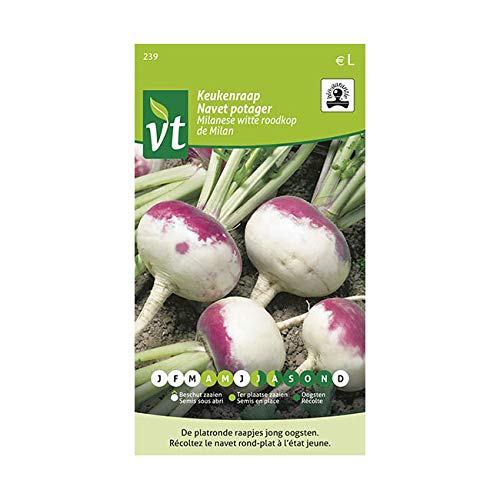 Nabo De Milan Organic Seeds - Nabos para el jardín