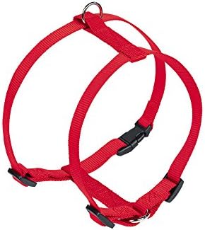 Harnais Nobby Classique pour Chiens petits et moyens en Été | Refroidissement Garanti, Matériaux Sécurisés | Taille S/M