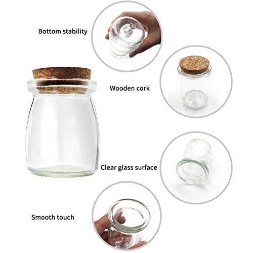 Yamahiko 6Pcs Decorative Glass Bottle With Cork Stopper, 100Ml,3.4Oz Mini Glass Wish Favor Bottle Jars With Cork Lid, Corked Small Pudding Glass Storage Jars Empty Glass Bottle For Party Wedding Favor #TOP3