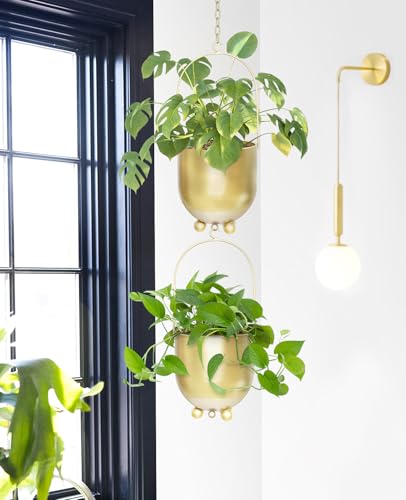 Pots de fleurs pour mur et plafond de 16 cm : le set de suspensions AceList - 5