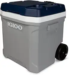Igloo Maxcold Latitude Cooler | Insulated Hard Shell Ice Chest