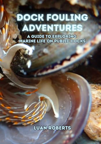 Dock Fouling Adventures: A Guide to Exploring Marine Life on Public Docks